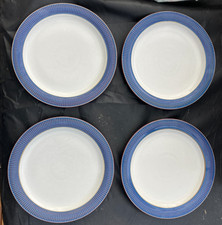 Denby Storm Plum Dinner Plates