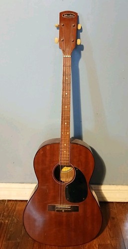 Vintage string tenor guitar - string,