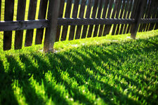 2kg Premium Shade Grass Seed -