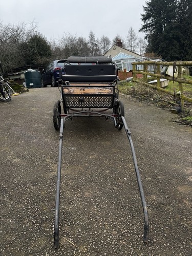 Pony wheel exercise cart - pony,