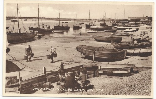Essex leigh sea - leigh, preparing