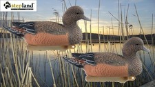 Duck Decoys set of 2  Stepland