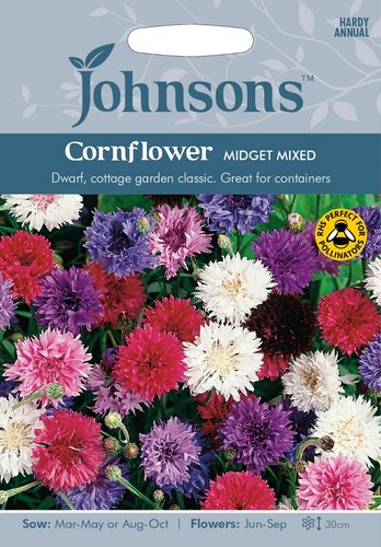 Cornflower seeds midget - seeds, 'midget