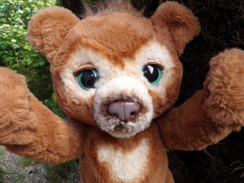 Furreal friends cubby - cubby, the