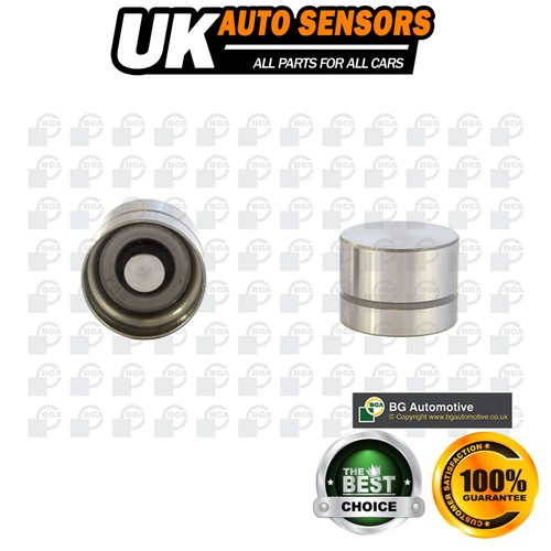 Fits rover land - fits,