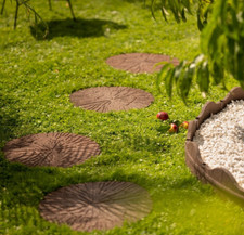 Earth Cracked Log Stepping