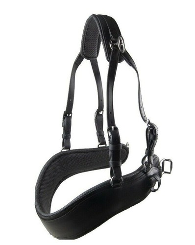 Ideal equestrian harness - equestrian,