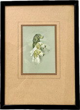 ARTHUR WARDLE Framed Mounted Coloured Print ENGLISH SETTERS Setter Dogs ANTIQUE