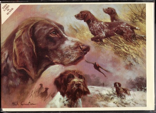 German shorthaired pointer gsp - shorthaired,