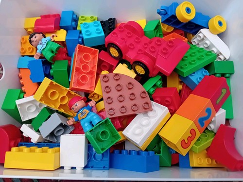Duplo 5kg bricks - duplo,