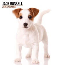 Jack Russell 2026 Modern