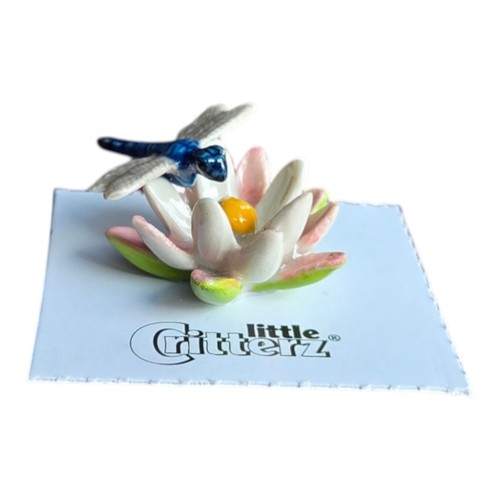 Little critterz dragonfly - critterz,