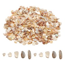 500g Crushed Shells Irregular