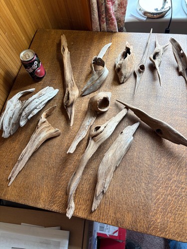 Driftwood x12 special rare - x12,