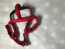 Red Dog Harness for a Jack