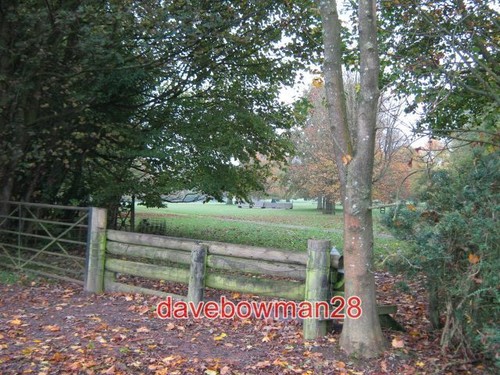 Photo cross country - photo, horse