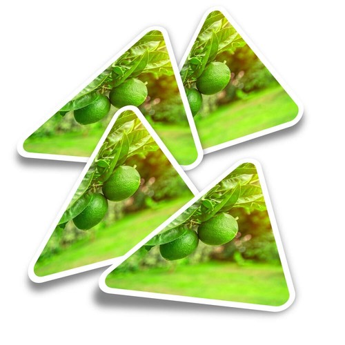 Triangle stickers citrus - 4x,
