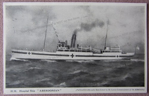 1917 aberdonian wwi - pc, ss