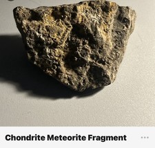 Chondrite Meteorite Specimen