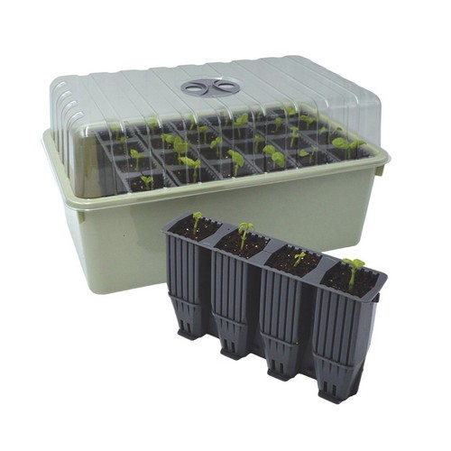 Garland cell deep root - 28,