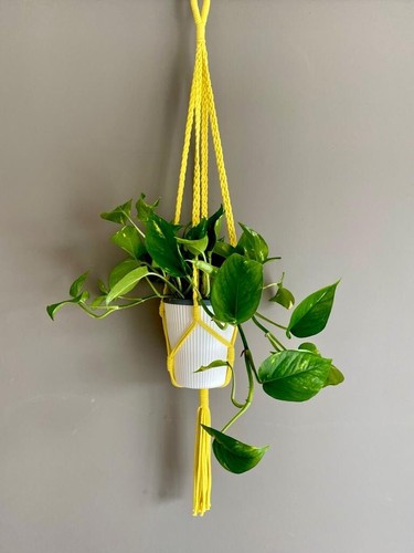 Macrame plant hanger yellow - plant,