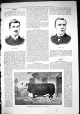 Antique Old Print 1884 Diver Julian Cross Hereford Champion Bull Lord Wilton