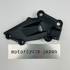 Kawasaki Genuine Ninja250R