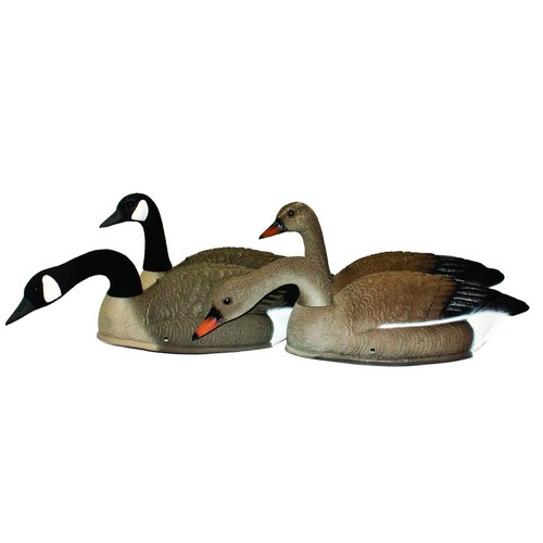 Sport plast bean goose shell - sport,