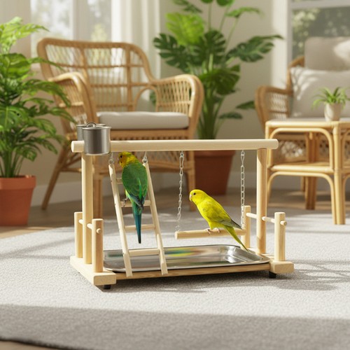 Parrot playstand bird plays - parrot,