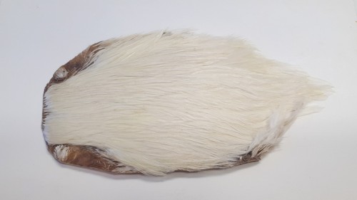 Natural white indian cock - natural,