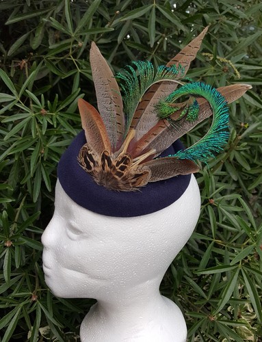 Pheasant and peacock - , feather