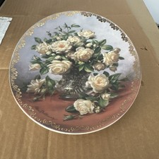 Princess of Wales Rose By