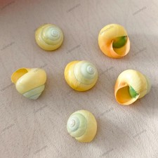 Yellow Asperitas 2-3 cm