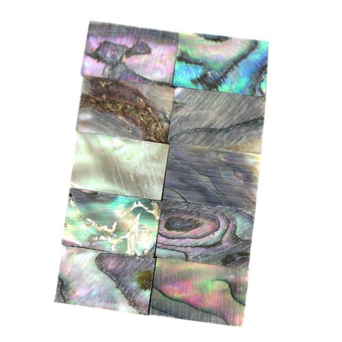 10pcs abalone shell inlay - shell,
