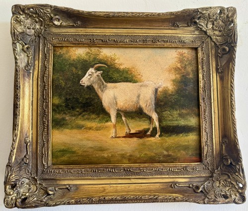 Naive billy goat oil - naive,