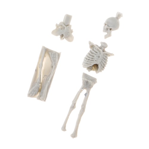 Unassembly unpainted kit - unassembly,