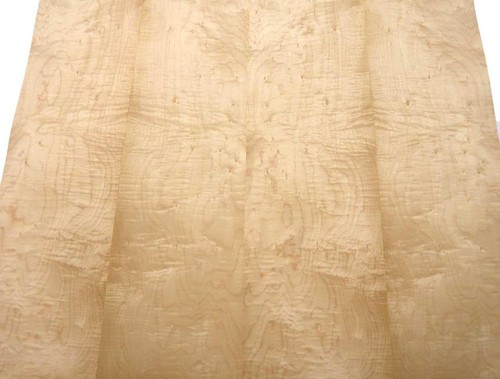 Birds eye maple - birds,
