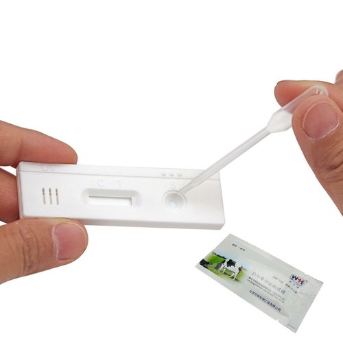 Pregnancy test paper cow - paper,