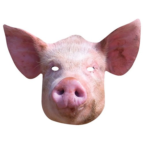 Pig cardboard face - face, mask