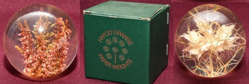 Paperweight 60mm hafod - 2x,