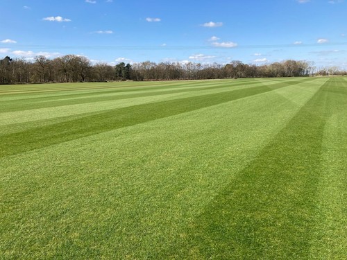 Rolls lawn turf directly - 60,