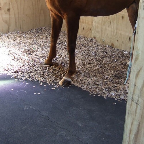 Eva horse stable floor - stable, mats