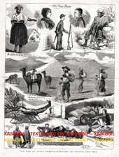 Peru & Bolivia War of Pacific Saltpeter War, Llama, Large 1870s Antique Print