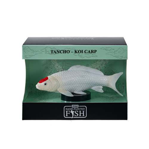 Mojo tancho koi carp - tancho, box