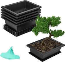 Bonsai training pots and - pots,