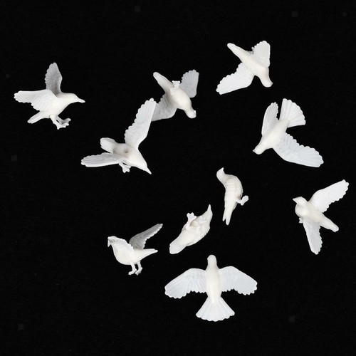 10x mini pigeon animal bird - animal,
