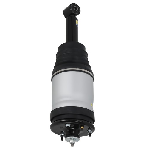 Rear air ride suspension strut - ride,