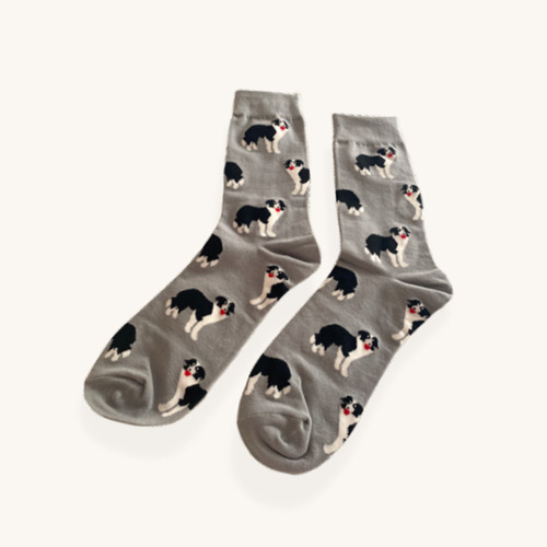 Border collie socks grey dog - border,