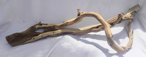 Manzanita driftwood branch - manzanita,