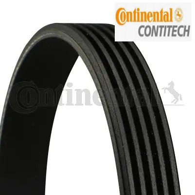 Ribbed belt 5pk1236 - v-ribbed,